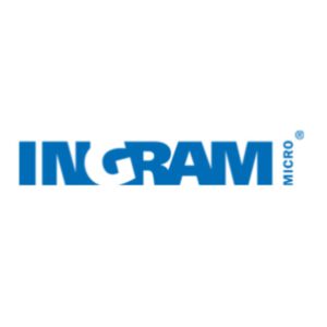 BI2run - Partner INGRAM