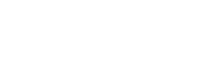 BI2run - IBM