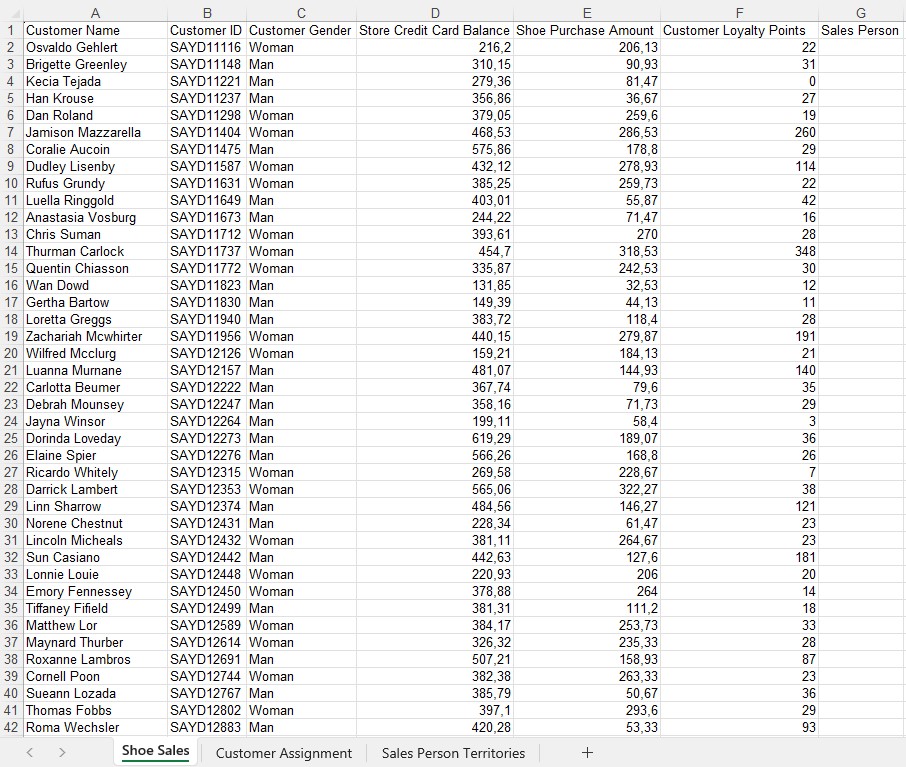 BI2run - Shoe Sales Testdaten Blatt 1