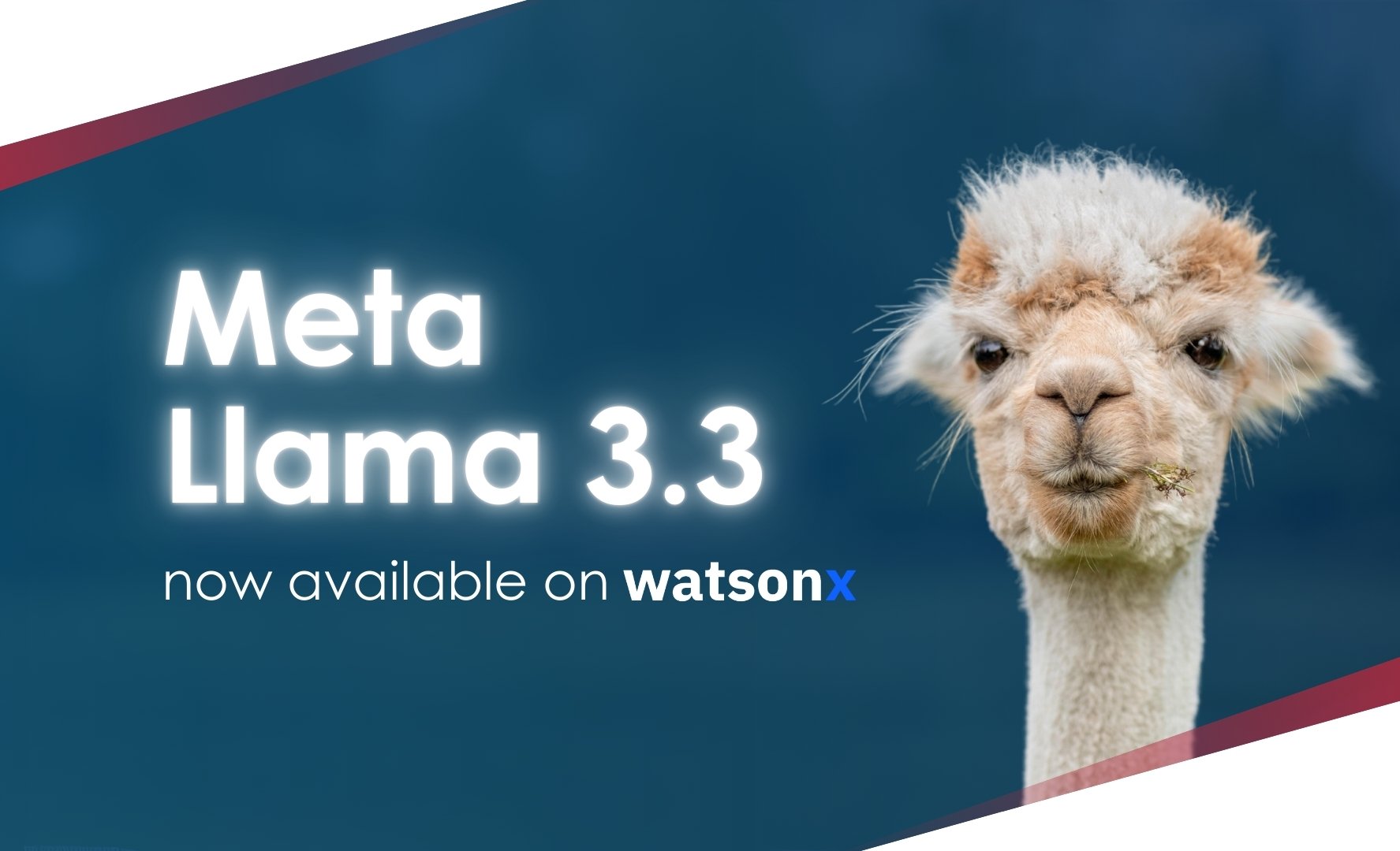 Meta Llama 3.3 70B Instruct model: Innovation for companies and ...