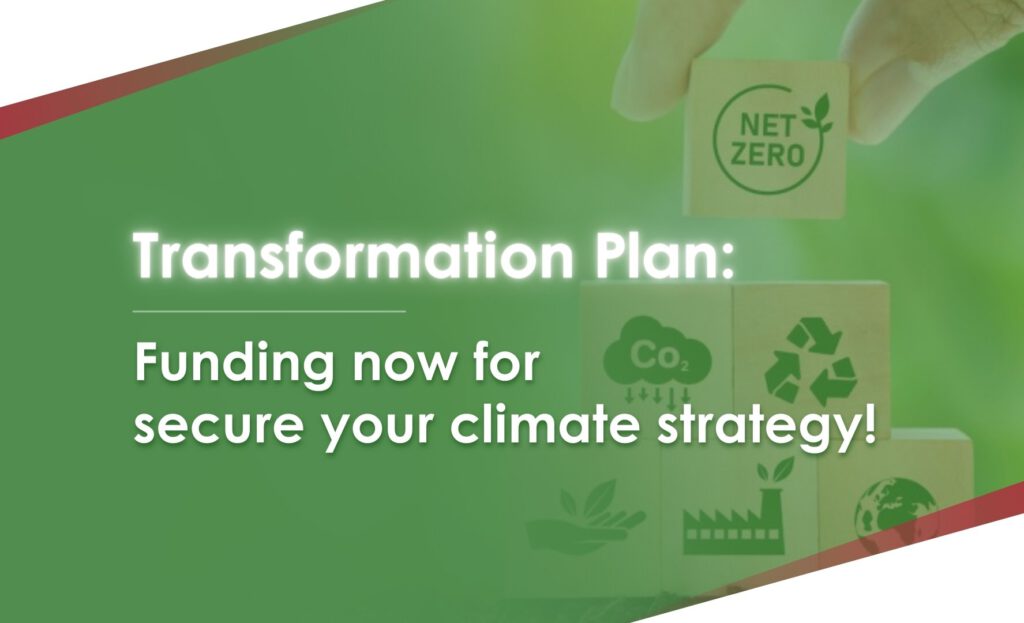 BI2run - Transformation Plan