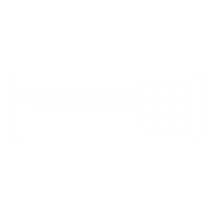BI2run - Payback Logo