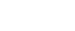 BI2run - BlueHive Logo