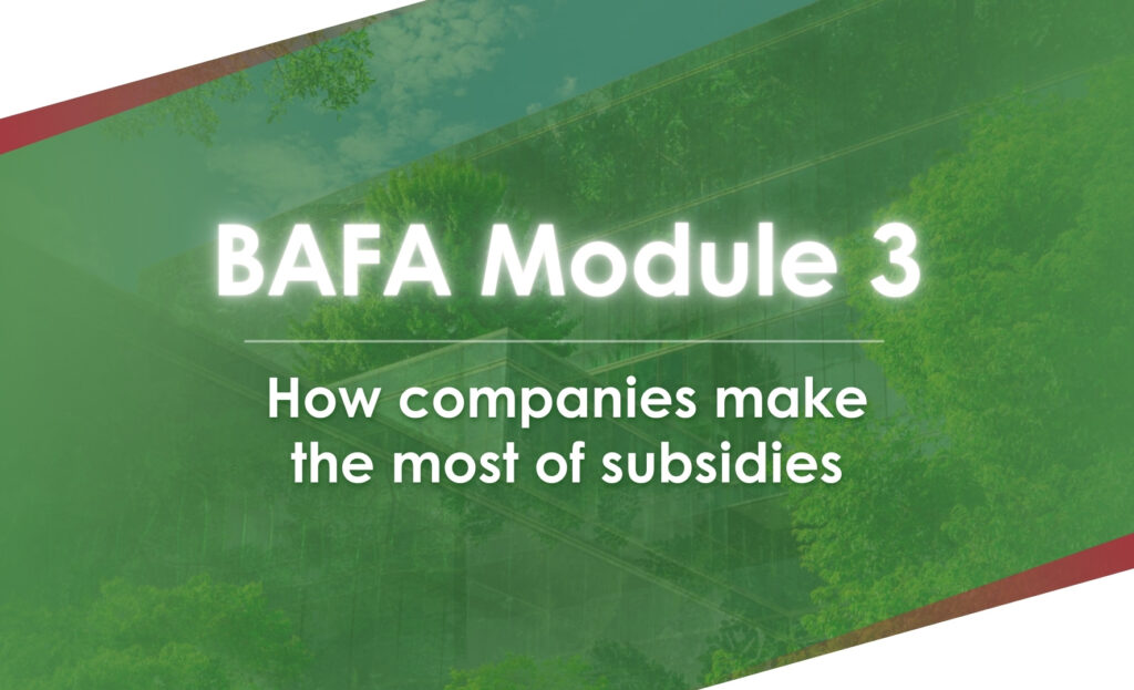 BI2run - BAFA Module 3